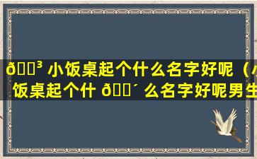 🌳 小饭桌起个什么名字好呢（小饭桌起个什 🌴 么名字好呢男生）